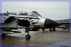 2008-festa-repubblica-piacenza-tornado-f-16-ecr-special-color-009