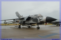 2008-festa-repubblica-piacenza-tornado-f-16-ecr-special-color-014