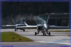 2016-meiringen-f-18-5-hornet-tiger-night-flight-003