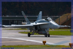 2016-meiringen-f-18-5-hornet-tiger-night-flight-004