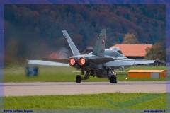 2016-meiringen-f-18-5-hornet-tiger-night-flight-011