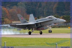 2016-meiringen-f-18-5-hornet-tiger-night-flight-021