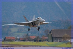 2016-meiringen-f-18-5-hornet-tiger-night-flight-026