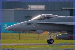 2016-meiringen-f-18-5-hornet-tiger-night-flight-033