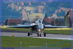 2016-meiringen-f-18-5-hornet-tiger-night-flight-047