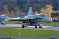 2016-meiringen-f-18-5-hornet-tiger-night-flight-049