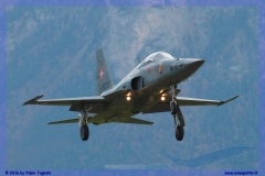 2016-meiringen-f-18-5-hornet-tiger-night-flight-054