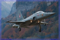 2016-meiringen-f-18-5-hornet-tiger-night-flight-056