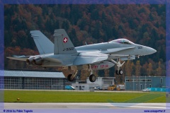 2016-meiringen-f-18-5-hornet-tiger-night-flight-074