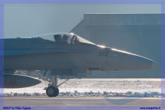 2017-Sion-WEF-F18-F5-Hornet-Tiger_020