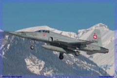 2017-Sion-WEF-F18-F5-Hornet-Tiger_042