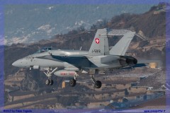 2017-Sion-WEF-F18-F5-Hornet-Tiger_072