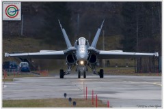 2018-meiringen-wef-f-18-hornet-tiger-180