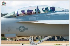 2019-F18-super-hornet-swiss-payerne-079