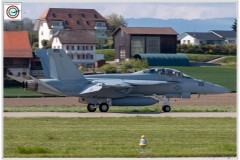 2019-F18-super-hornet-swiss-payerne-091