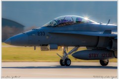 2022-Meiringen-f-18-hornet-pc-7-079