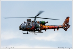 NATO-Tiger-Meet-2024_001