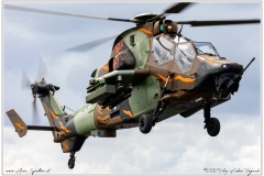 NATO-Tiger-Meet-2024_074