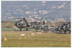 2024-Frosinone-elephant-walk-028